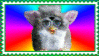 furby on rainbow background 6